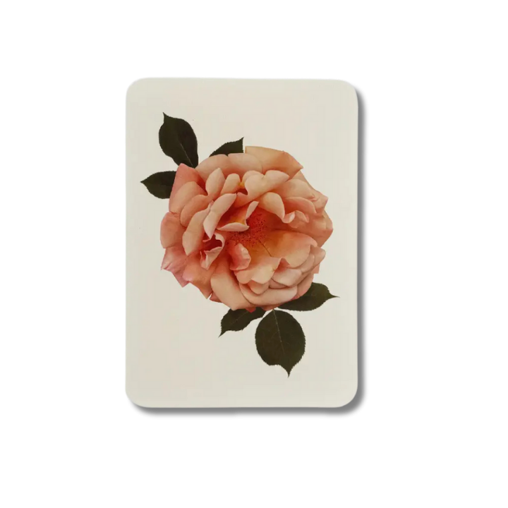 CANONBURY PRESS Antique Blush Rose Card