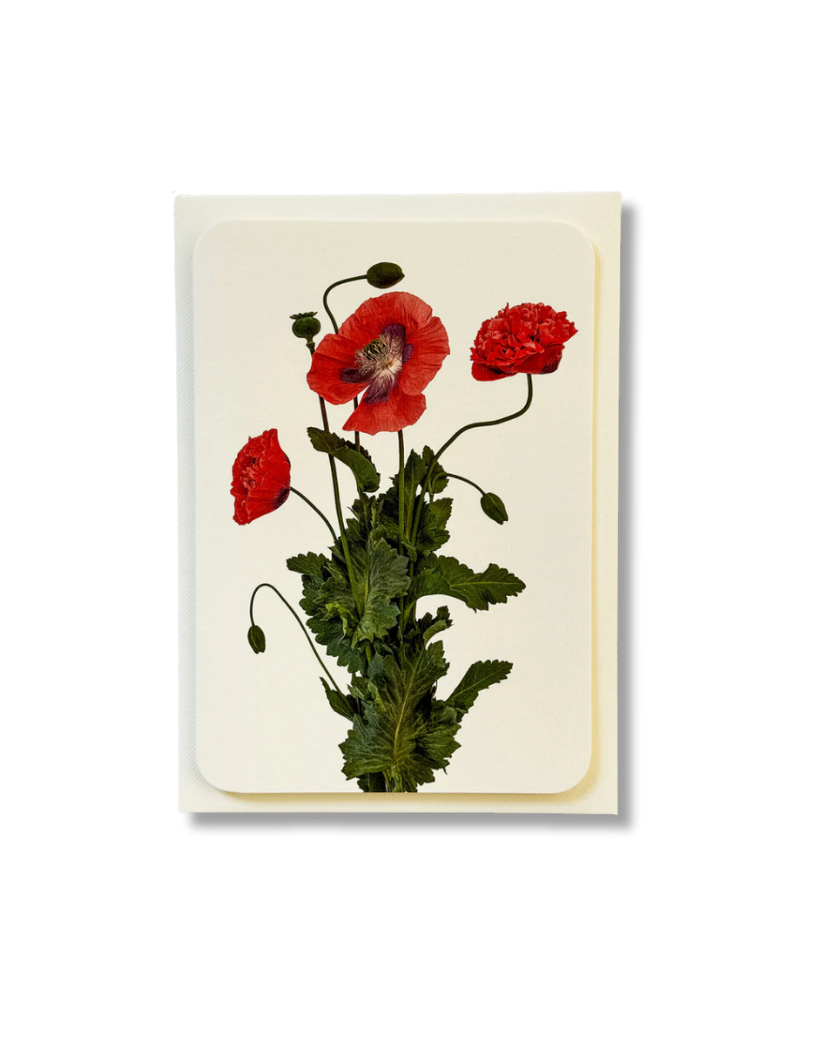CANONBURY PRESS Wild Poppies Greeting Card