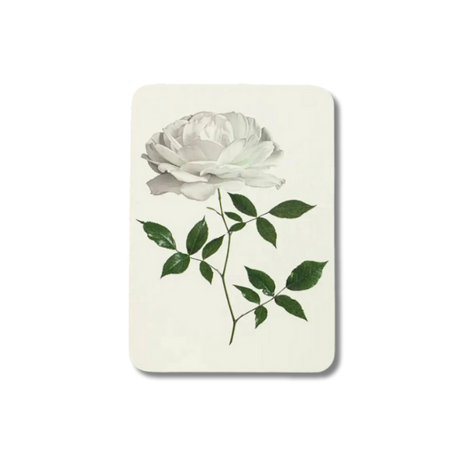 CANONBURY PRESS White Rose Greeting Card