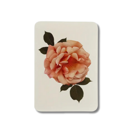 CANONBURY PRESS Antique Blush Rose Card