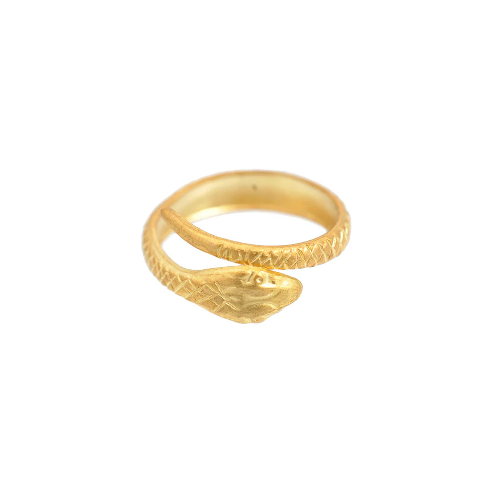 WE DREAM IN COLOR Serpent Ring